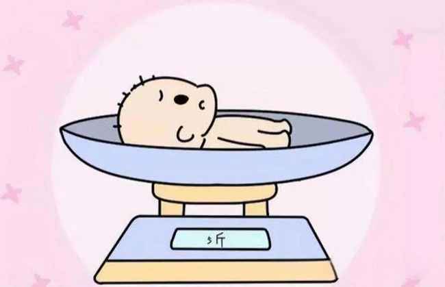 Newborn Weight Gain Standards and Feeding Guide for New Parents